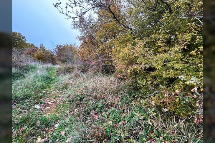 Poljoprivredno zemljište, Prodaja, Marčana, Krnica Poljoprivredno zemljište, Prodaja, Marčana, Krnica