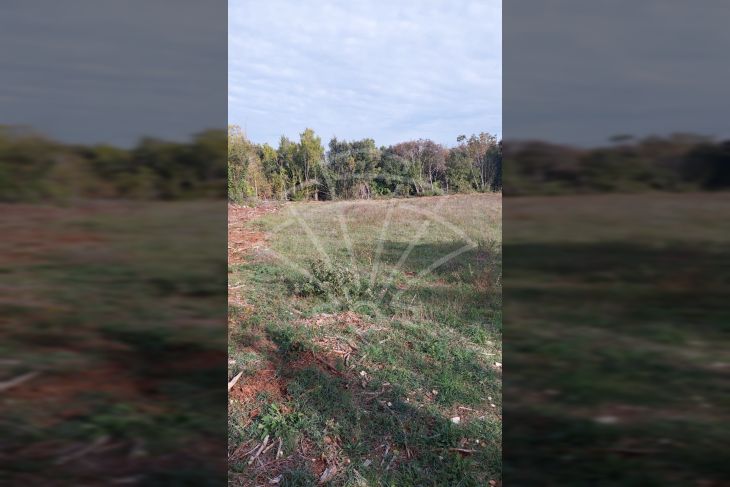 Poljoprivredno zemljište, Prodaja, Ližnjan, Šišan Poljoprivredno zemljište, Prodaja, Ližnjan, Šišan