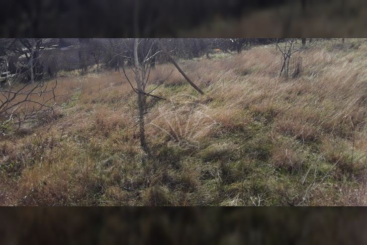 Građevinsko zemljište, Prodaja, Bakar, Škrljevo Građevinsko zemljište, Prodaja, Bakar, Škrljevo