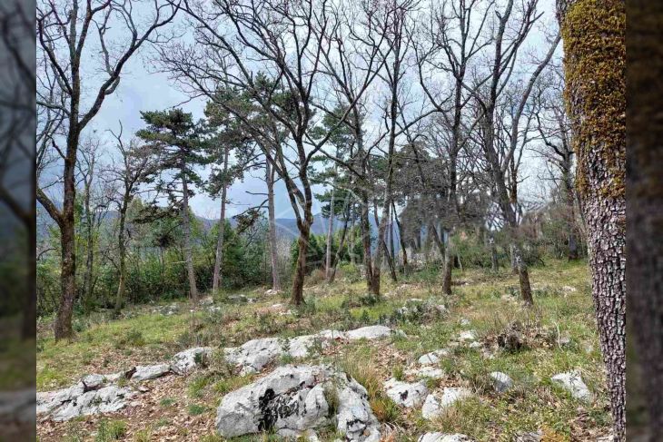 Poljoprivredno zemljište, Prodaja, Opatija - Okolica, Ičići