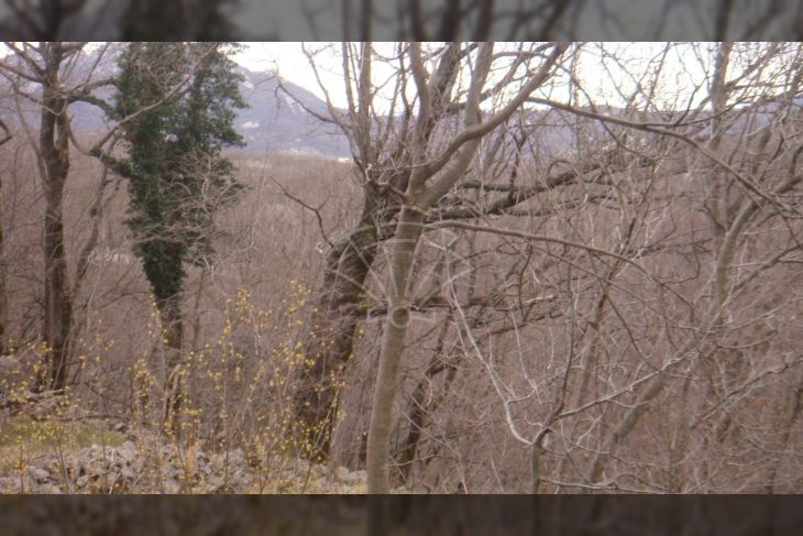 Poljoprivredno zemljište, Prodaja, Jelenje, Podhum
