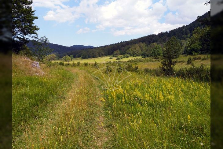 Poljoprivredno zemljište, Prodaja, Ravna gora, Stari Laz