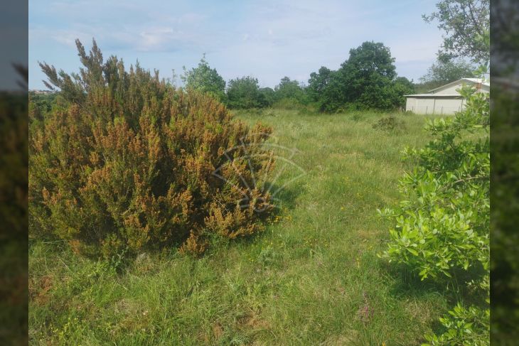 Poljoprivredno zemljište, Prodaja, Medulin, Medulin