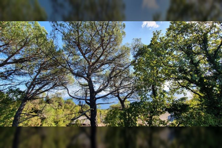 Građevinsko zemljište, Prodaja, Matulji, Pavlovac Građevinsko zemljište, Prodaja, Matulji, Pavlovac