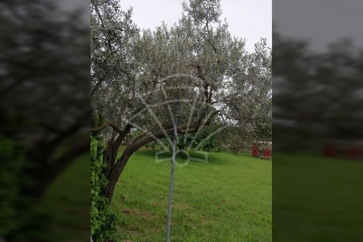 Građevinsko stambeno zemljište, Prodaja, Medulin, Medulin Građevinsko stambeno zemljište, Prodaja, Medulin, Medulin