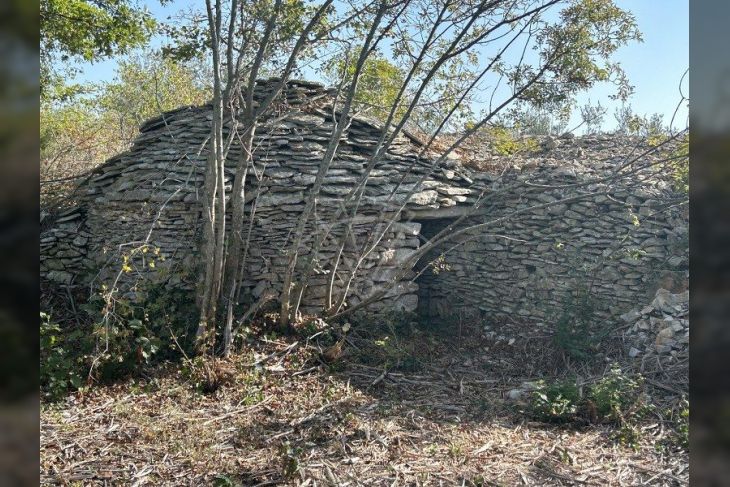 Šuma, Prodaja, Vodnjan, Vodnjan Šuma, Prodaja, Vodnjan, Vodnjan