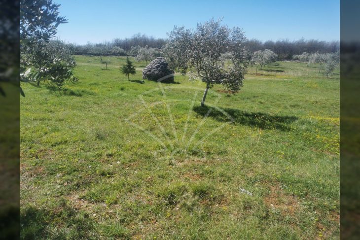 Poljoprivredno zemljište, Prodaja, Vodnjan, Vodnjan Poljoprivredno zemljište, Prodaja, Vodnjan, Vodnjan
