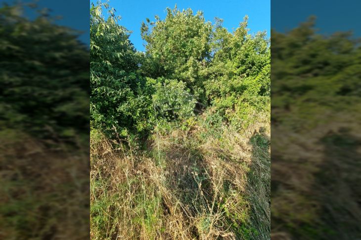 Građevinsko stambeno zemljište, Prodaja, Crikvenica, Crikvenica Građevinsko stambeno zemljište, Prodaja, Crikvenica, Crikvenica