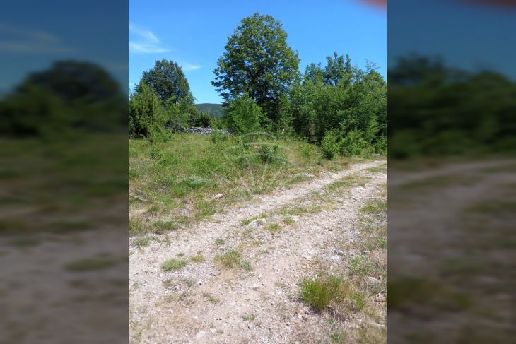 Poljoprivredno zemljište, Najam, Matulji, Rupa Poljoprivredno zemljište, Najam, Matulji, Rupa