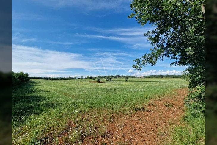 Poljoprivredno zemljište, Prodaja, Vižinada, Markovići Poljoprivredno zemljište, Prodaja, Vižinada, Markovići