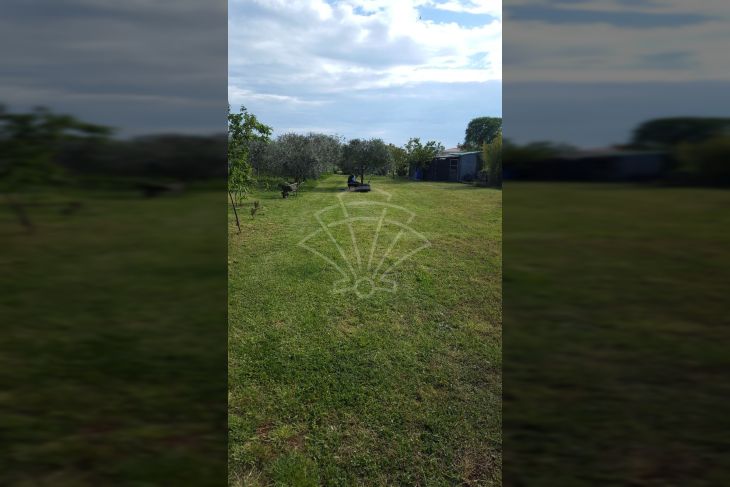 Poljoprivredno zemljište, Prodaja, Fažana, Fažana