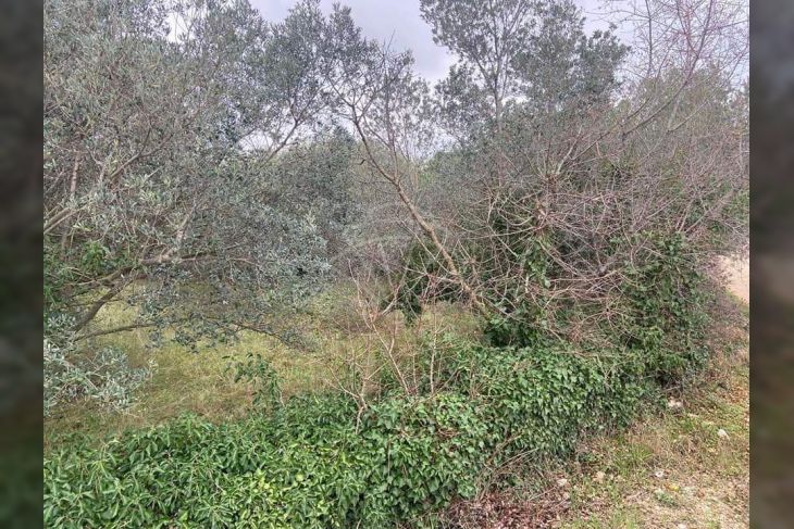 Građevinsko zemljište, Prodaja, Marčana, Peruški Građevinsko zemljište, Prodaja, Marčana, Peruški