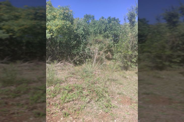 Poljoprivredno zemljište, Prodaja, Vodnjan, Vodnjan Poljoprivredno zemljište, Prodaja, Vodnjan, Vodnjan