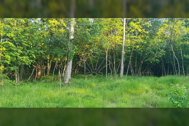Građevinsko zemljište, Prodaja, Klana, Breza Građevinsko zemljište, Prodaja, Klana, Breza