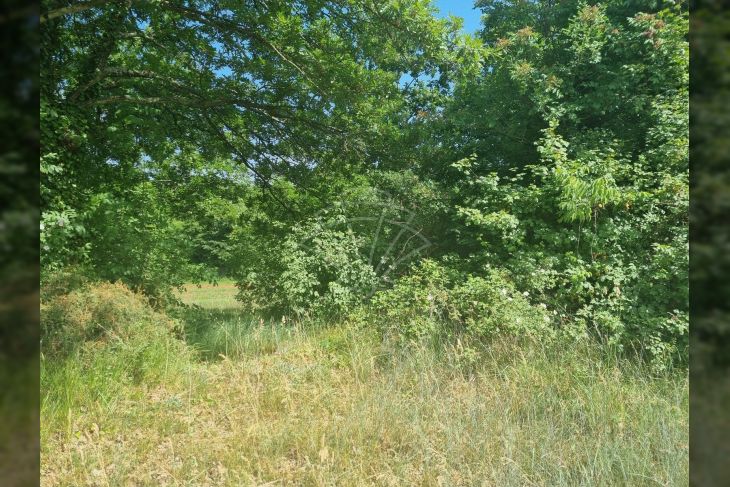 Građevinsko zemljište, Prodaja, Svetvinčenat, Režanci Građevinsko zemljište, Prodaja, Svetvinčenat, Režanci