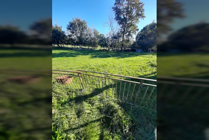 Dvojna kuća, Prodaja, Žminj, Žminj