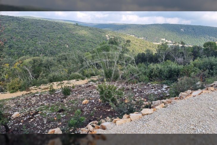 Poljoprivredno zemljište, Prodaja, Marčana, Krnica Poljoprivredno zemljište, Prodaja, Marčana, Krnica