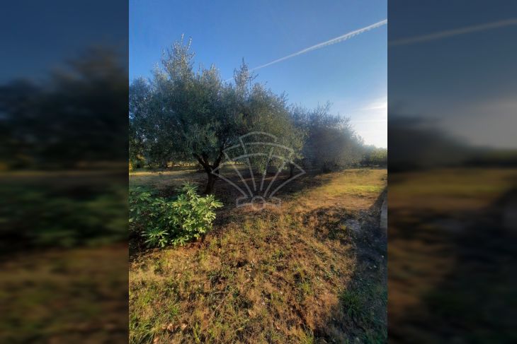 Zemljište - ostalo, Prodaja, Marčana, Peruški Zemljište - ostalo, Prodaja, Marčana, Peruški