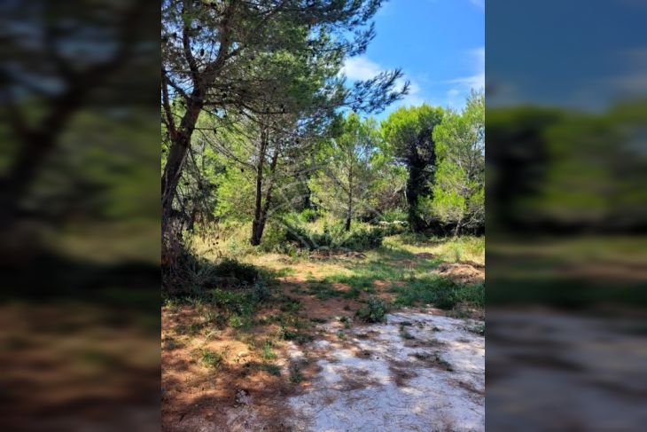 Građevinsko stambeno zemljište, Prodaja, Medulin, Medulin Građevinsko stambeno zemljište, Prodaja, Medulin, Medulin