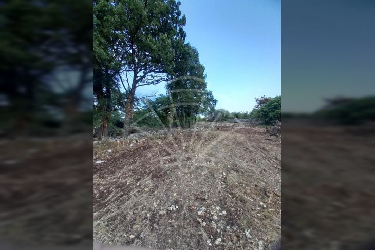 Poljoprivredno zemljište, Prodaja, Dobrinj, Šilo Poljoprivredno zemljište, Prodaja, Dobrinj, Šilo