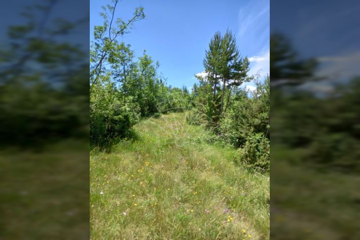Poljoprivredno zemljište, Najam, Matulji, Rupa Poljoprivredno zemljište, Najam, Matulji, Rupa
