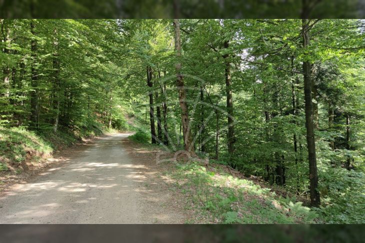 Poljoprivredno zemljište, Prodaja, Fužine, Fužine Poljoprivredno zemljište, Prodaja, Fužine, Fužine