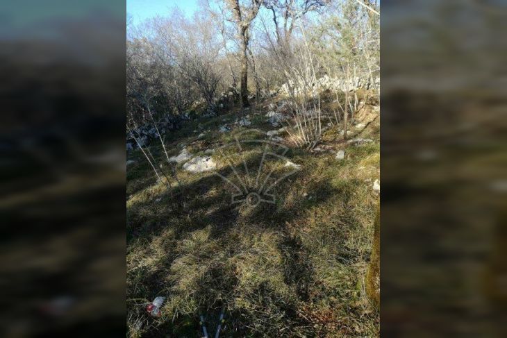 Šuma, Prodaja, Dobrinj, Gabonjin Šuma, Prodaja, Dobrinj, Gabonjin