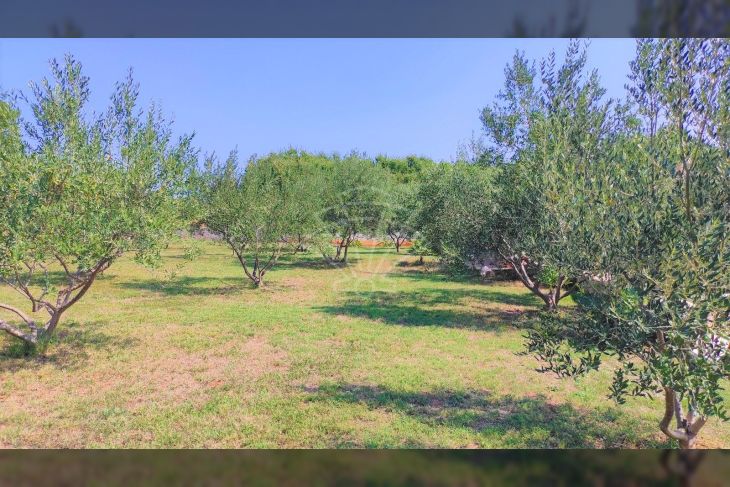 Samostojeća kuća, Prodaja, Marčana, Peruški Samostojeća kuća, Prodaja, Marčana, Peruški