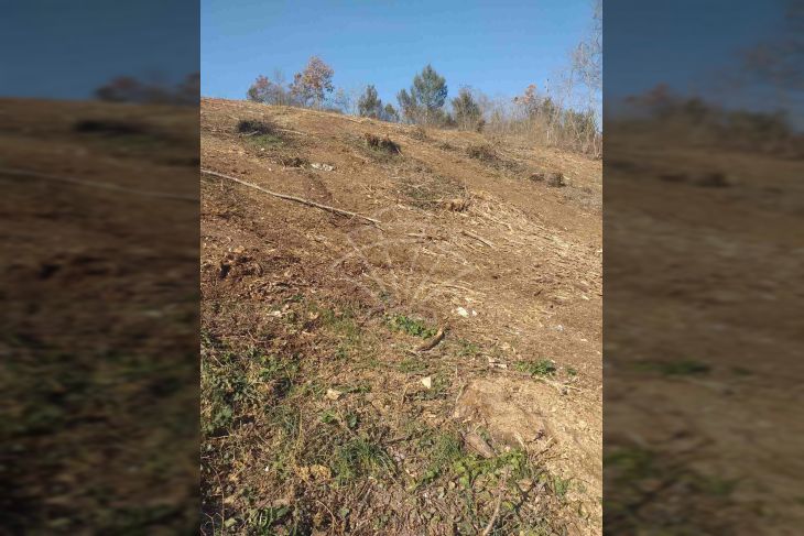 Građevinsko zemljište, Prodaja, Svetvinčenat, Bibići Građevinsko zemljište, Prodaja, Svetvinčenat, Bibići