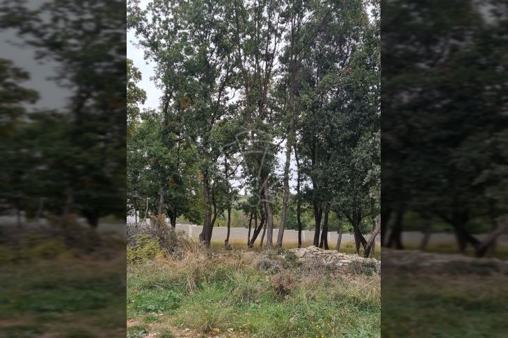 Građevinsko zemljište, Prodaja, Medulin, Medulin Građevinsko zemljište, Prodaja, Medulin, Medulin