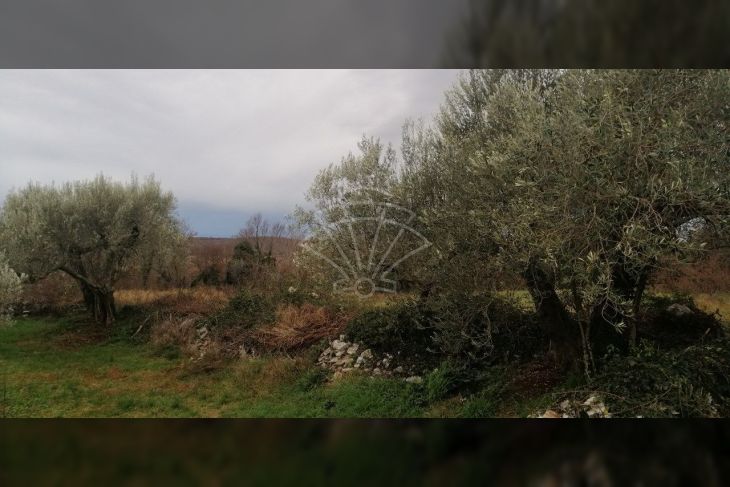 Građevinsko zemljište, Prodaja, Rovinj, Rovinj Građevinsko zemljište, Prodaja, Rovinj, Rovinj