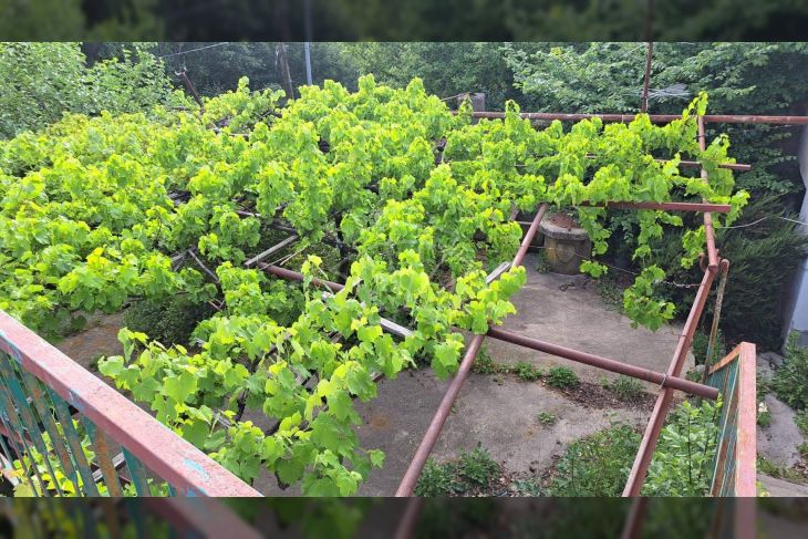 Dvojna kuća, Prodaja, Vinodolska općina, Bribir Dvojna kuća, Prodaja, Vinodolska općina, Bribir