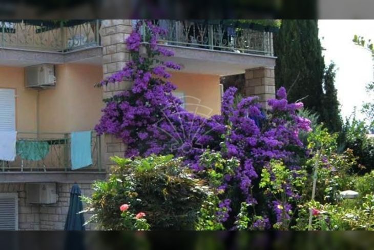 Apartmanska kuća, Prodaja, Medulin, Medulin