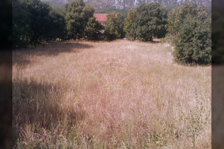 Građevinsko zemljište, Prodaja, Vinodolska općina, Drivenik