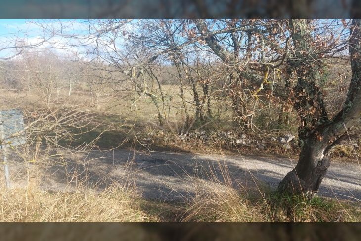 Građevinsko zemljište, Prodaja, Grožnjan, Grožnjan Građevinsko zemljište, Prodaja, Grožnjan, Grožnjan