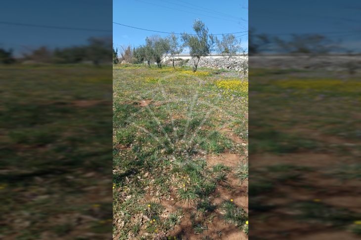 Građevinsko zemljište, Prodaja, Marčana, Divšići Građevinsko zemljište, Prodaja, Marčana, Divšići