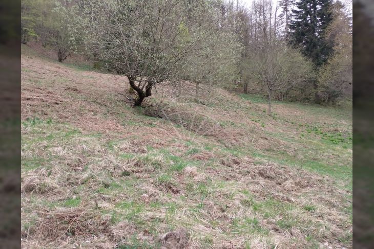 Poljoprivredno zemljište, Prodaja, Delnice, Crni Lug Poljoprivredno zemljište, Prodaja, Delnice, Crni Lug