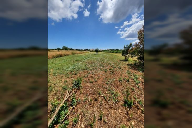 Građevinsko stambeno zemljište, Prodaja, Ližnjan, Muntić Građevinsko stambeno zemljište, Prodaja, Ližnjan, Muntić