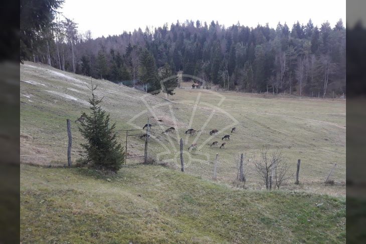 Vikend kuća, Prodaja, Čabar, Gorači Vikend kuća, Prodaja, Čabar, Gorači