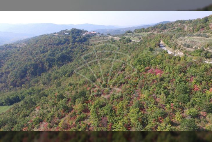 Poljoprivredno zemljište, Prodaja, Cerovlje, Draguć Poljoprivredno zemljište, Prodaja, Cerovlje, Draguć