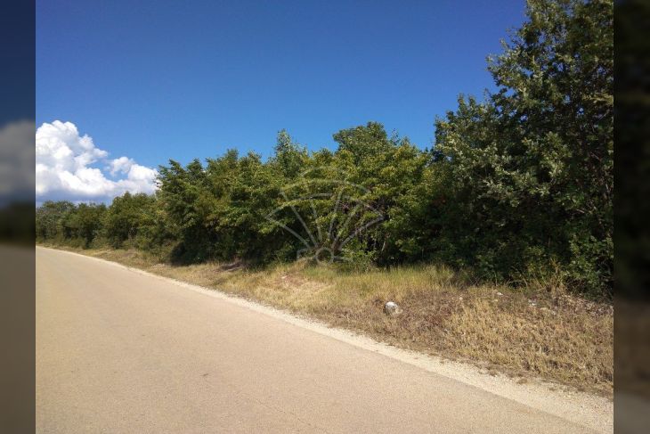 Poljoprivredno zemljište, Prodaja, Vodnjan, Vodnjan Poljoprivredno zemljište, Prodaja, Vodnjan, Vodnjan