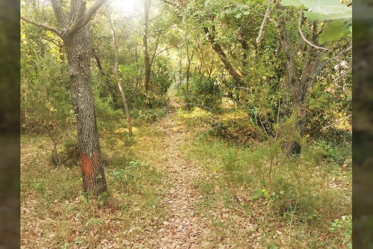 Poljoprivredno zemljište, Prodaja, Marčana, Peruški