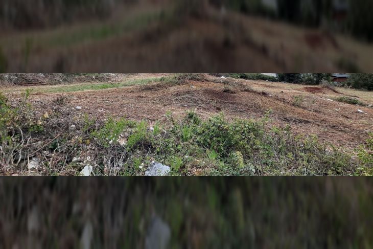 Građevinsko zemljište, Prodaja, Brtonigla, Brtonigla Građevinsko zemljište, Prodaja, Brtonigla, Brtonigla