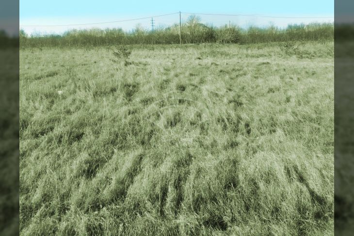 Građevinsko zemljište, Prodaja, Svetvinčenat, Bibići Građevinsko zemljište, Prodaja, Svetvinčenat, Bibići