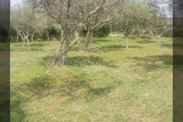 Poljoprivredno zemljište, Prodaja, Fažana, Fažana Poljoprivredno zemljište, Prodaja, Fažana, Fažana