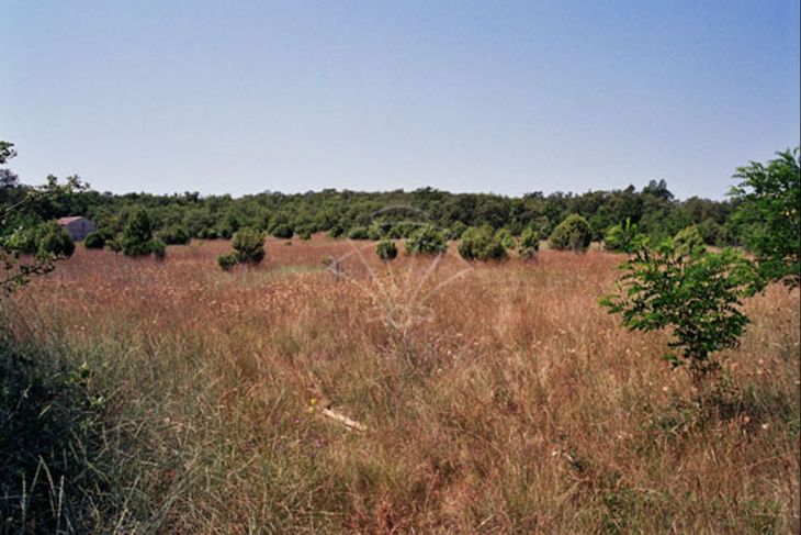 Građevinsko, Prodaja, Kanfanar, Šorići