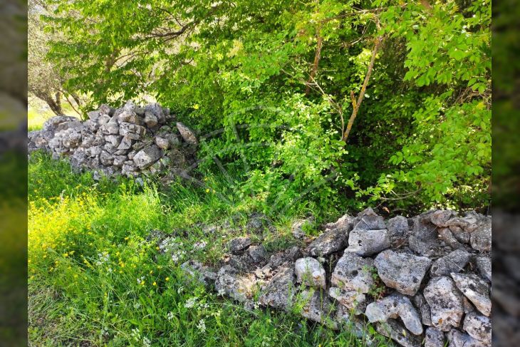 Oranica, Prodaja, Marčana, Rakalj Oranica, Prodaja, Marčana, Rakalj