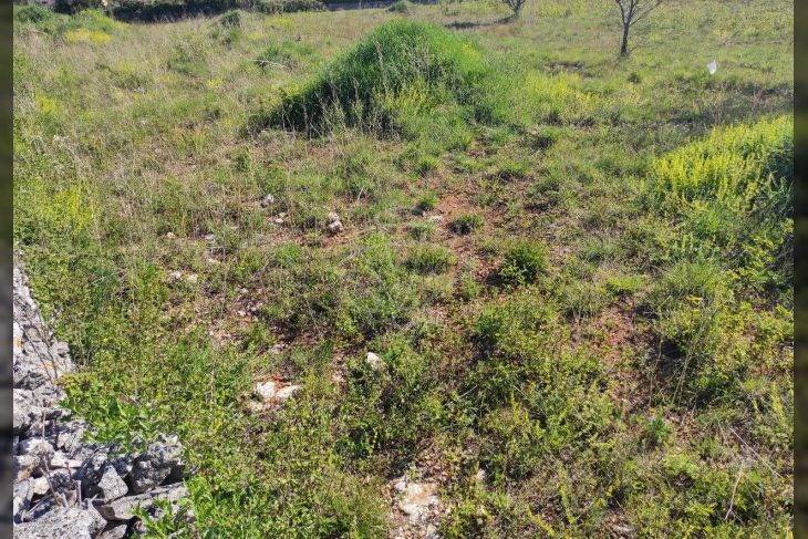 Građevinsko zemljište, Prodaja, Marčana, Rakalj Građevinsko zemljište, Prodaja, Marčana, Rakalj