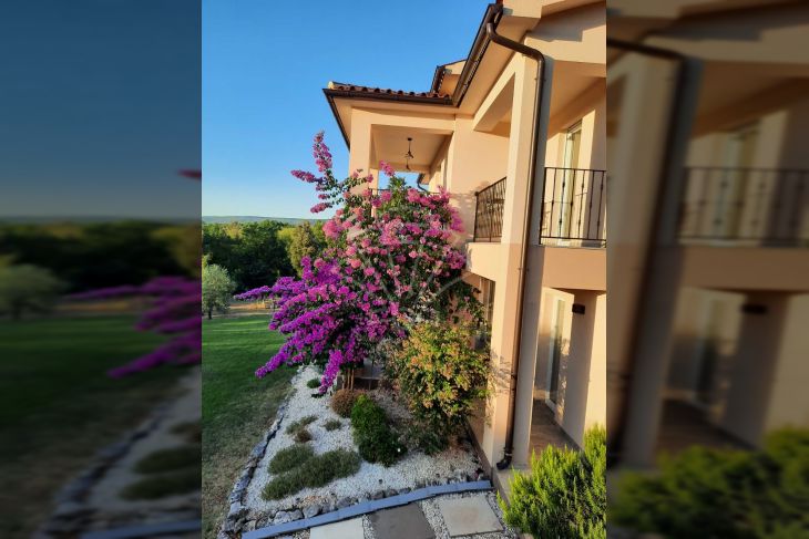 Vila, Prodaja, Marčana, Rakalj Vila, Prodaja, Marčana, Rakalj