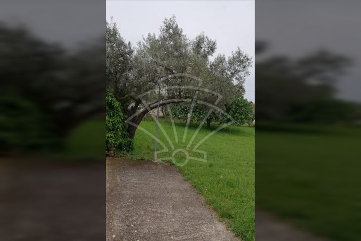 Građevinsko stambeno zemljište, Prodaja, Medulin, Medulin Građevinsko stambeno zemljište, Prodaja, Medulin, Medulin